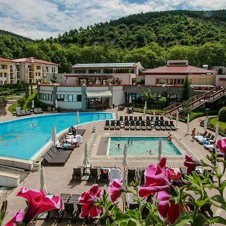 Апартамент Пирин Apartment Pirin Sandanski Zewnętrze zdjęcie